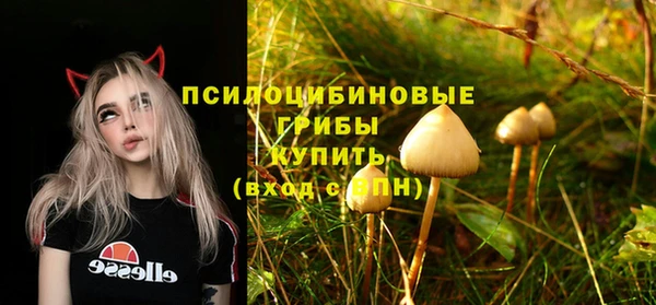 экстази Каменск-Шахтинский