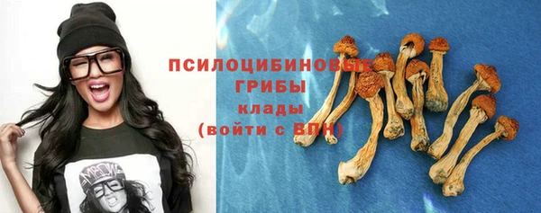 экстази Каменск-Шахтинский