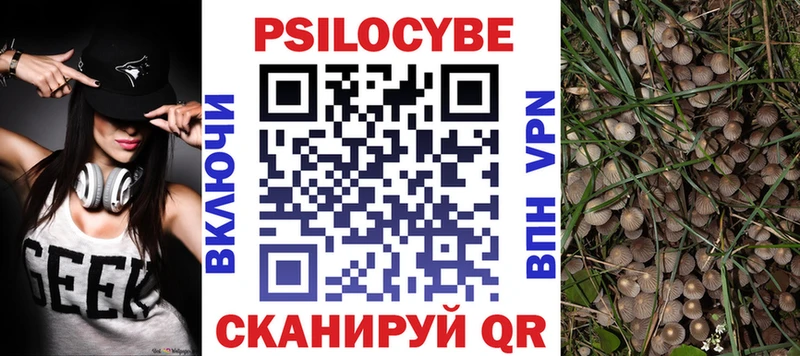 Купить  Бутурлиновка  Галлюциногенные грибы Cubensis 